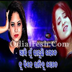 Aji Mu kanduchi Jete Tu Dine Kandibu Sete - Sad Song